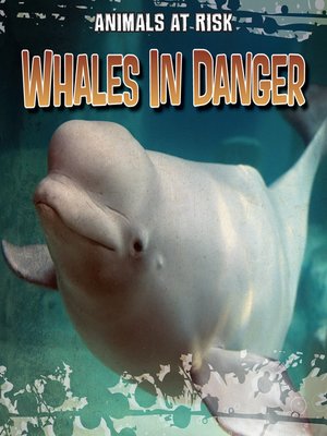 cover image of Whales in Danger